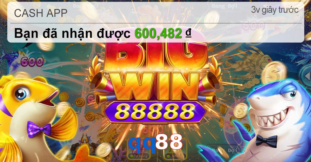 qq88