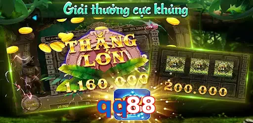 qq88